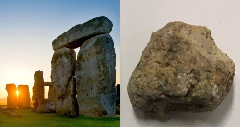 Stonehenge Coprolites
