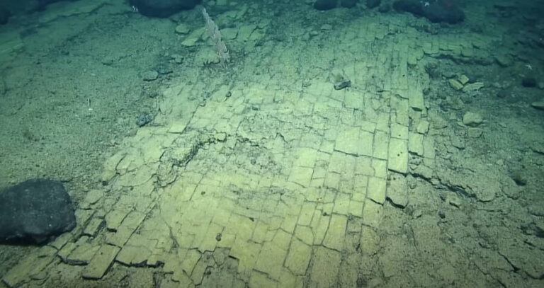 Yellow Brick Road Under The Sea