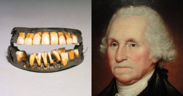 George Washington Teeth Alongside George Washington