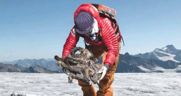 Person Holding Chamois