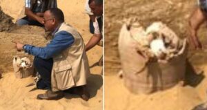 Archaeologist Alongside Pot Of Halloumi