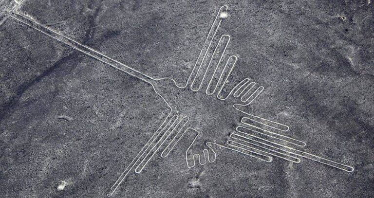 Hummingbird In Nazca Lines