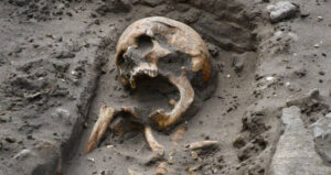 Pembrokeshire Skeleton