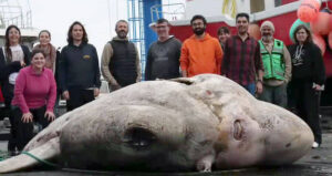 Team Poses With Biggest Fish