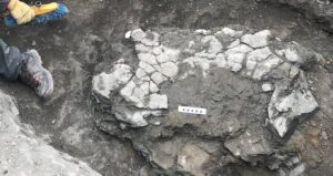 Digging Up The Turtle