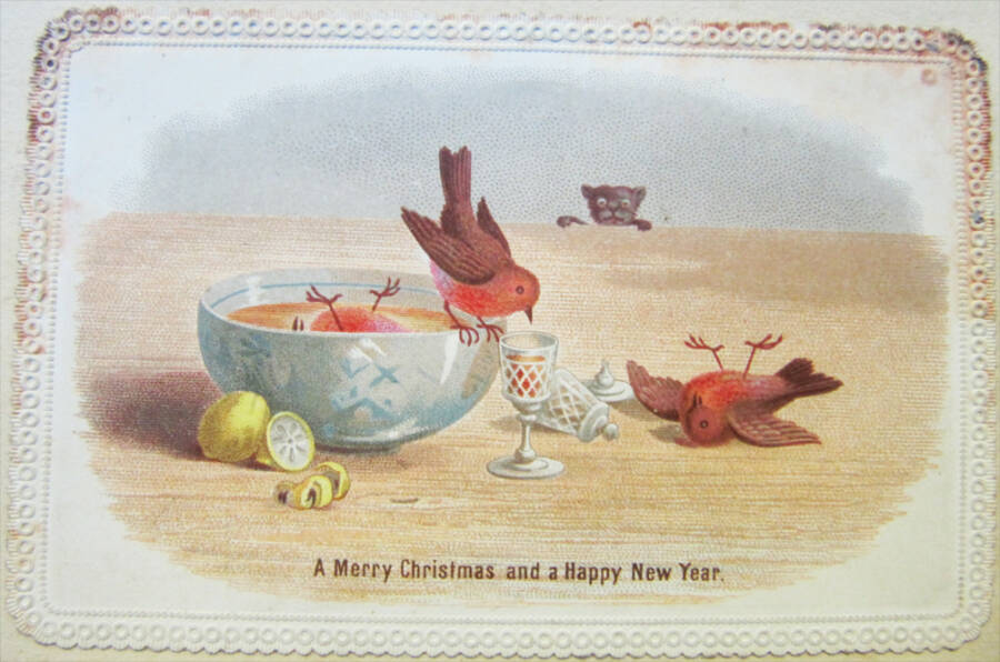 Drunk Birds
