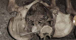 Coffin Birth Featured