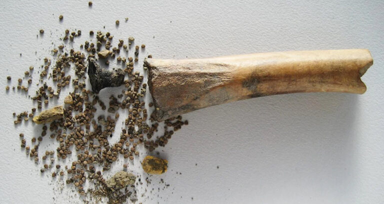 Featured Carved Bone