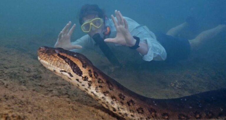 Freek Vonk With A Northern Green Anaconda Featured