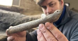 Bone Ice Skate Featured