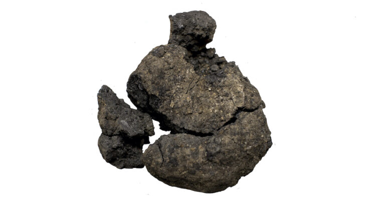 Catalhoyuk Bread Featured