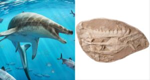 Sea Monster Featured